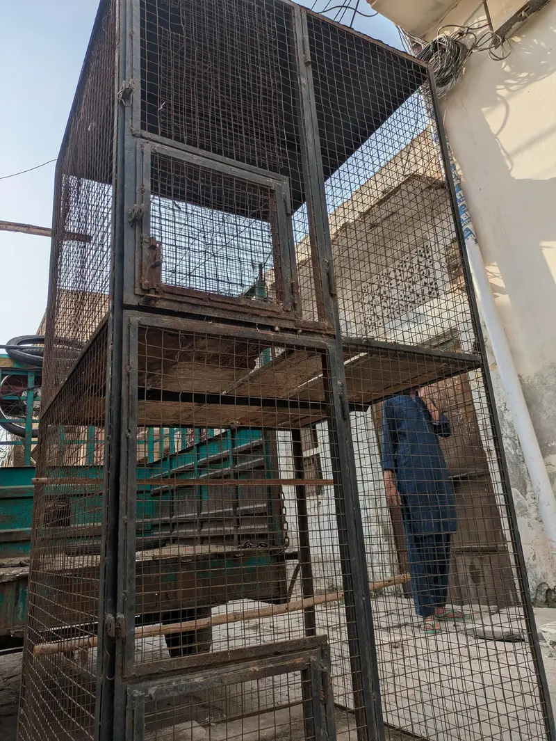 Heavy Metal Cage Urgent — photo 7