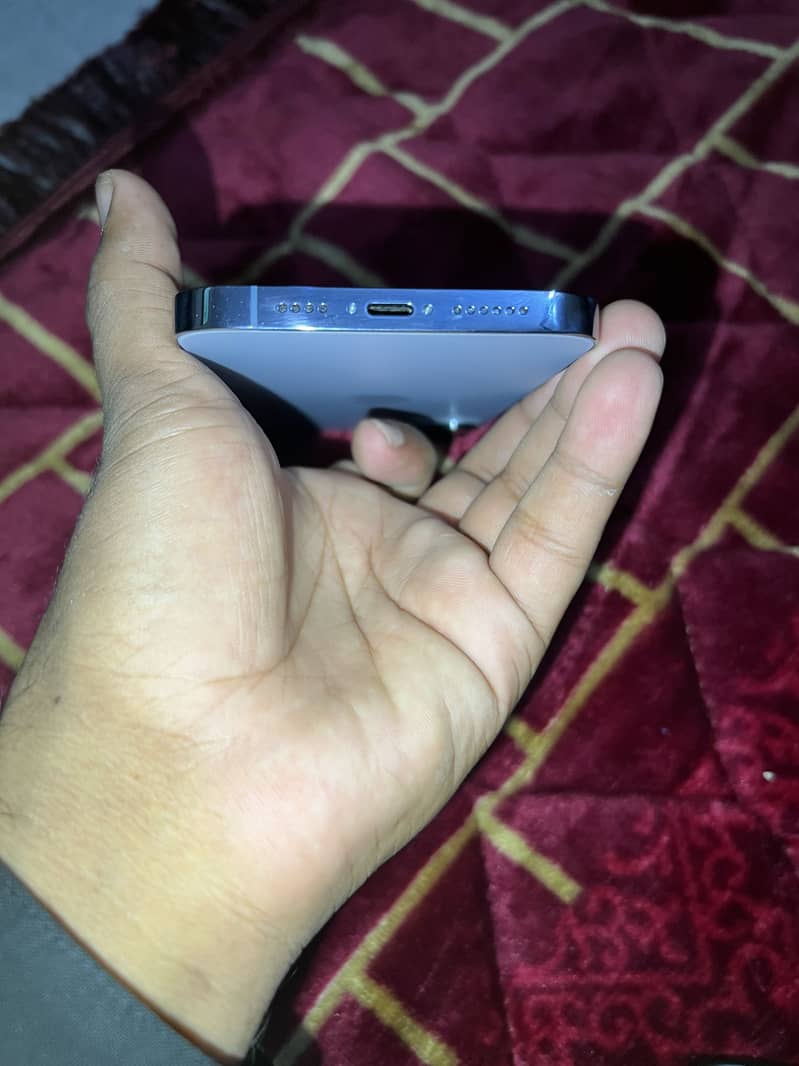 Apple iPhone 13 Pro Max 1