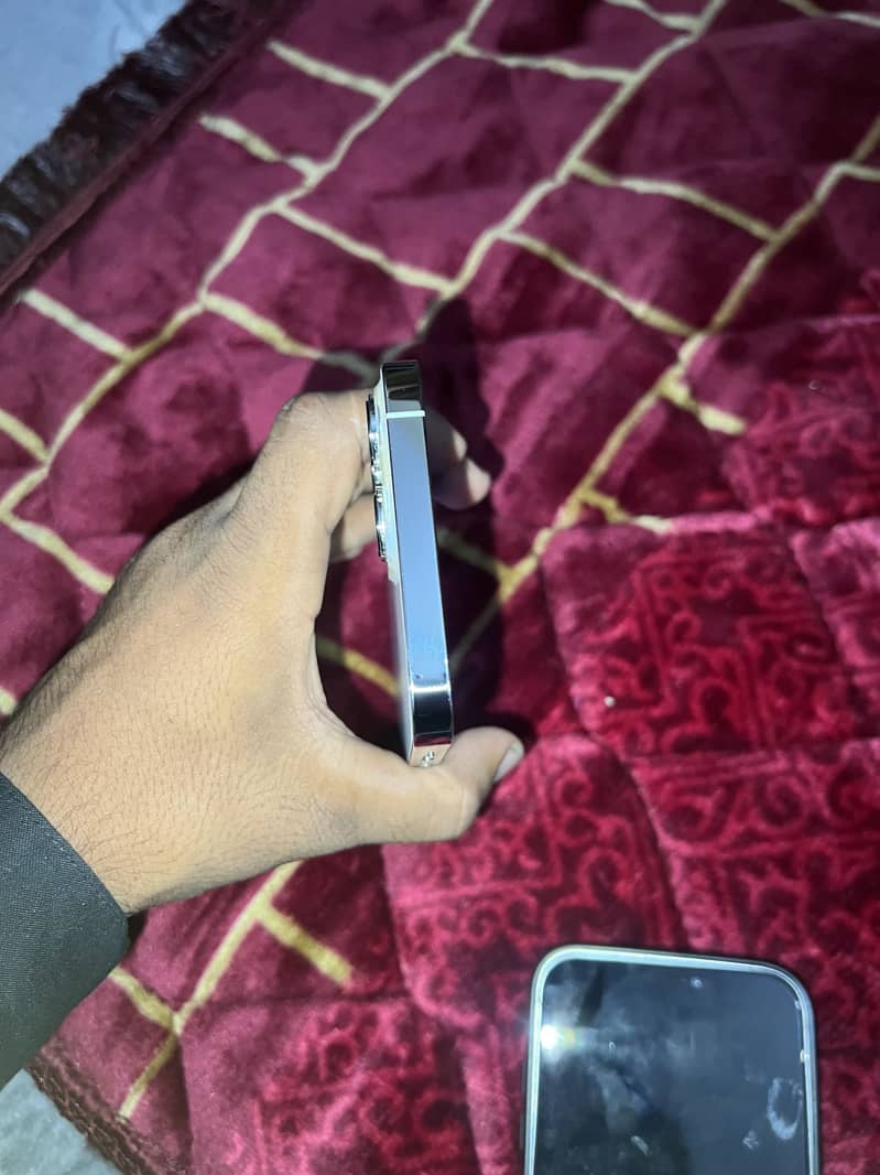 Apple iPhone 13 Pro Max 3