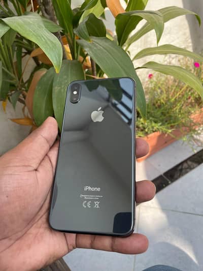 Apple iPhone X