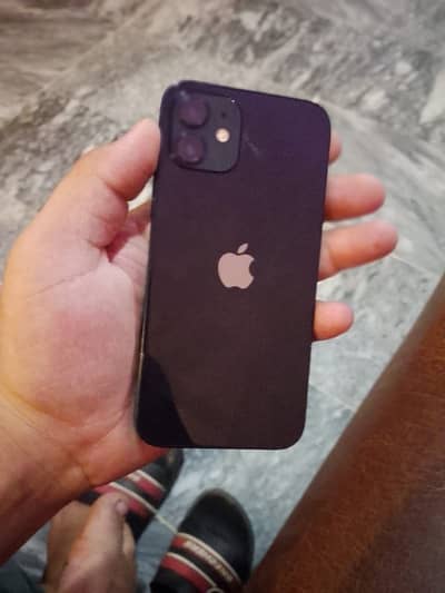 Apple iPhone 12