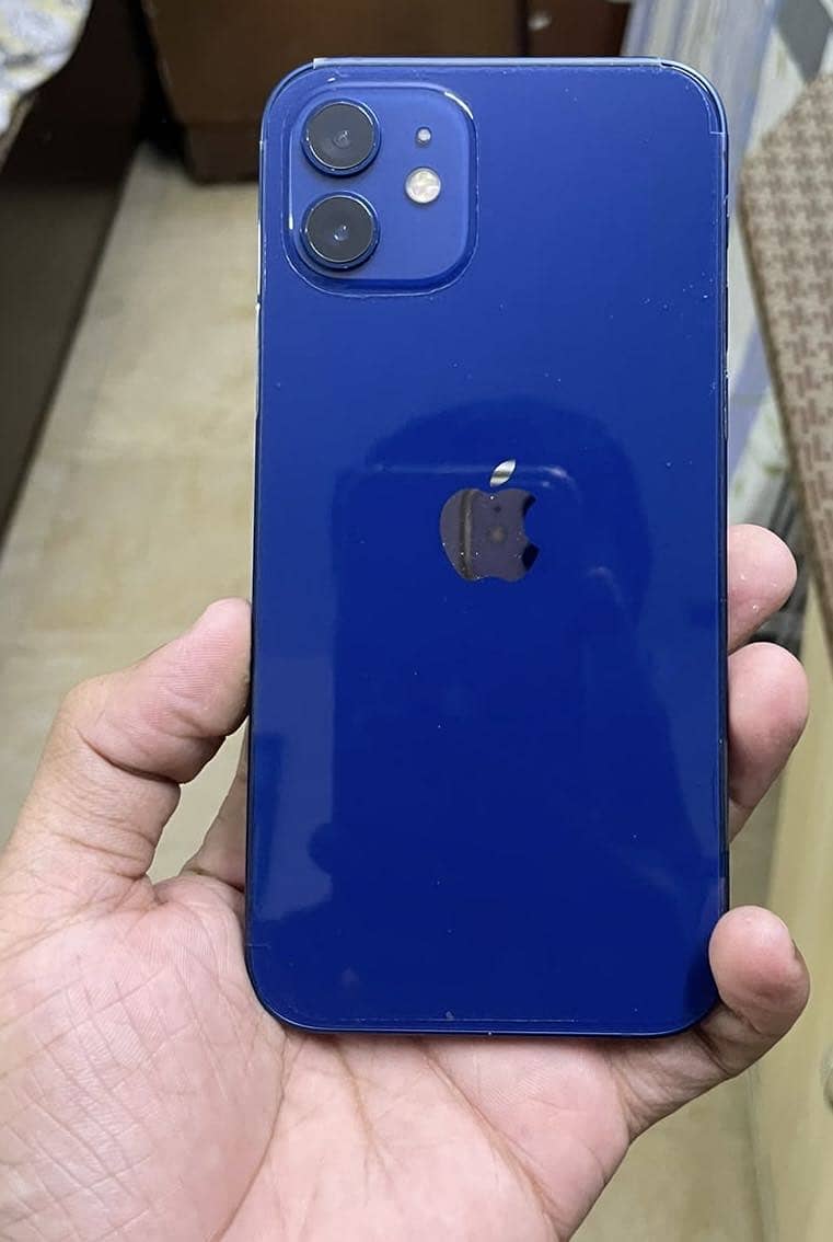 Apple iPhone 12 1