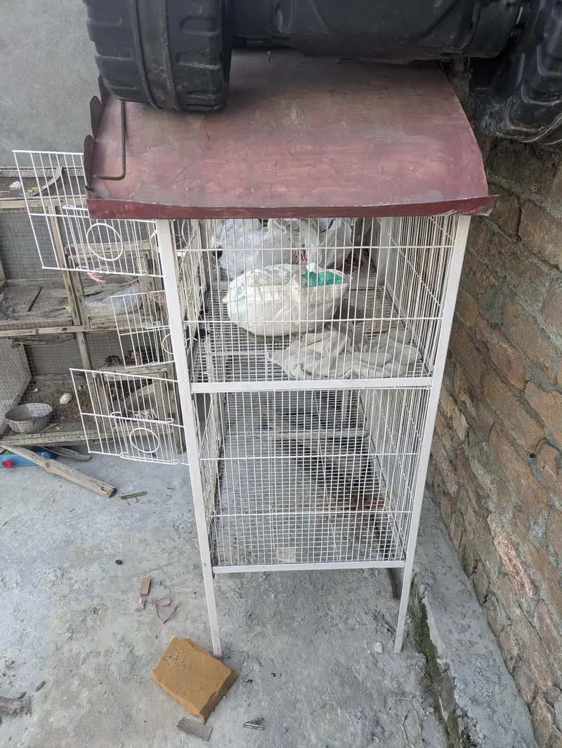 Iron cage — photo 2