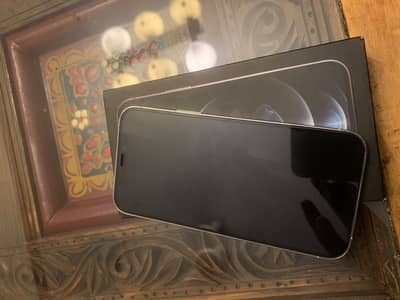 Apple iPhone 12 Pro