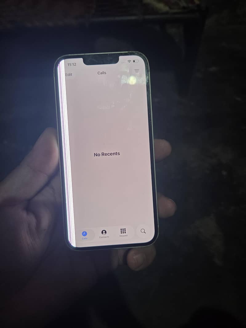 Apple iPhone 13 0