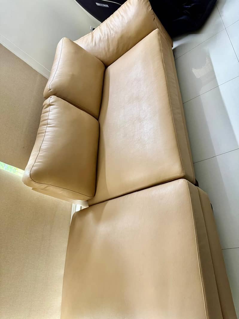 L Shaped Sofa 4