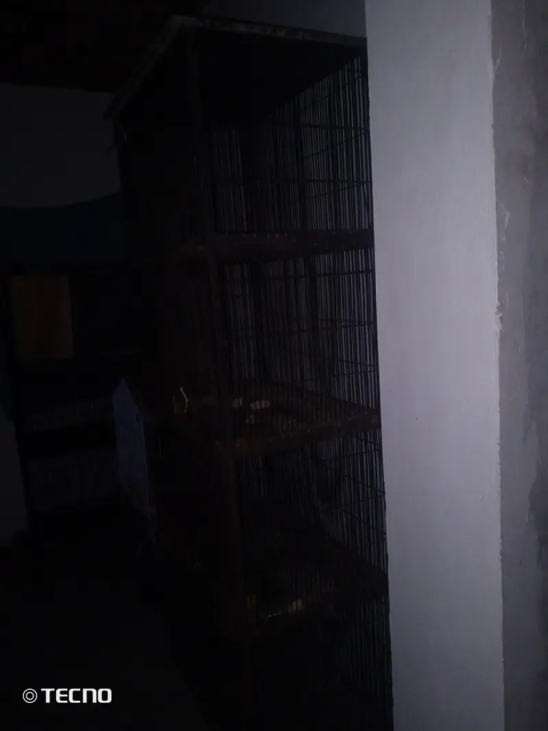 deal deal cage for sale final 7000 03094654348 — photo 2