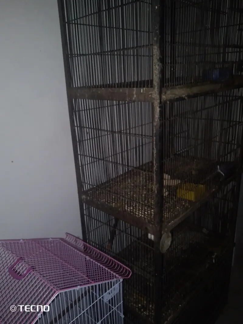 deal deal cage for sale final 7000 03094654348 — photo 3