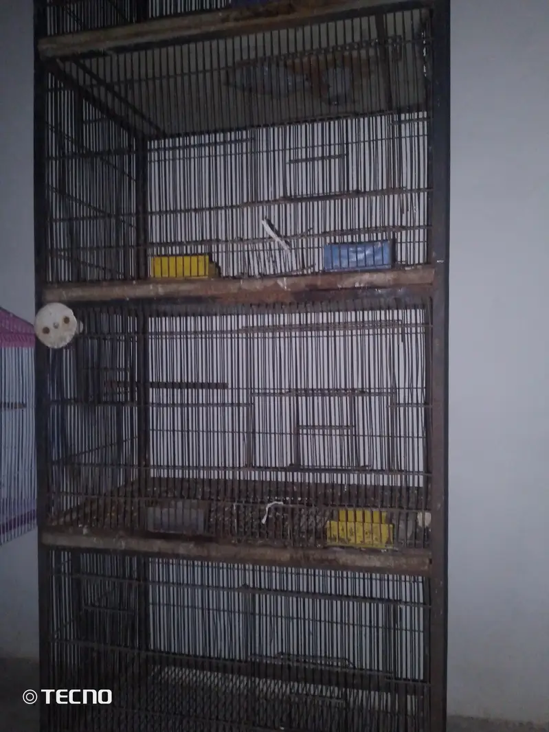 deal deal cage for sale final 7000 03094654348 — photo 6