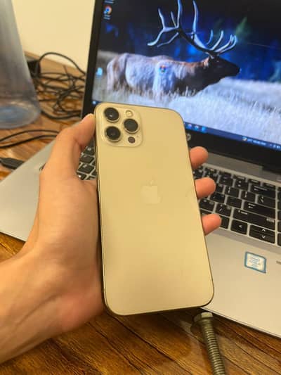 iPhone 12 Pro Max 256gb