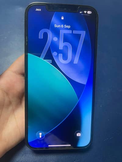 Apple iPhone 12 Pro Max