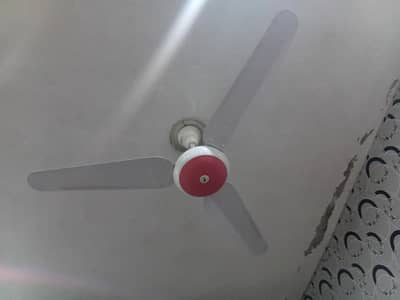 SK fan.