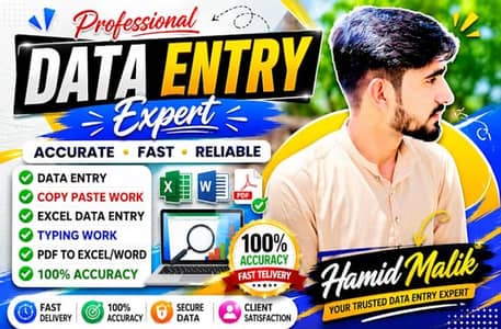 Need Data Entry Online Work Any Type Or Data Entry