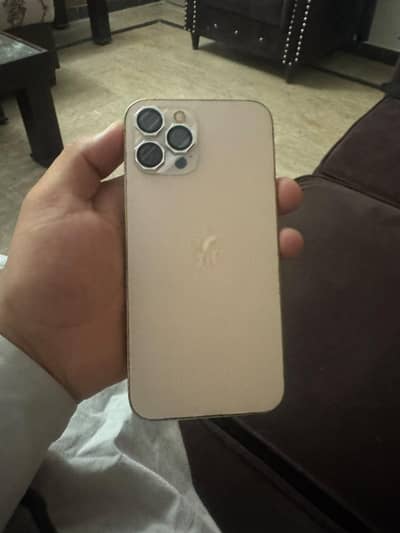Apple iPhone 12 Pro Max only back change no physical problem
