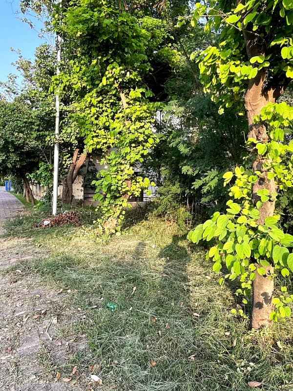 Plot For sale 4