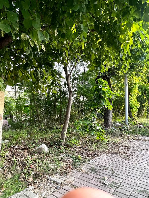 Plot For sale 5