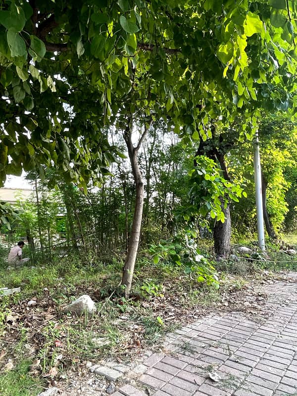 Plot For sale 6