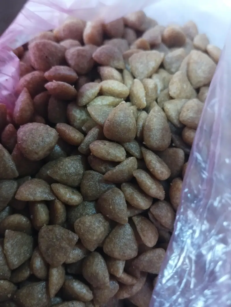 M k cat food — photo 3