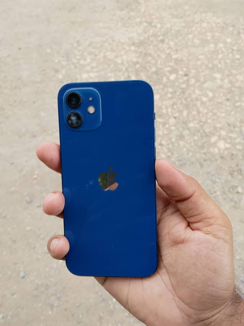 Apple iPhone 12 1