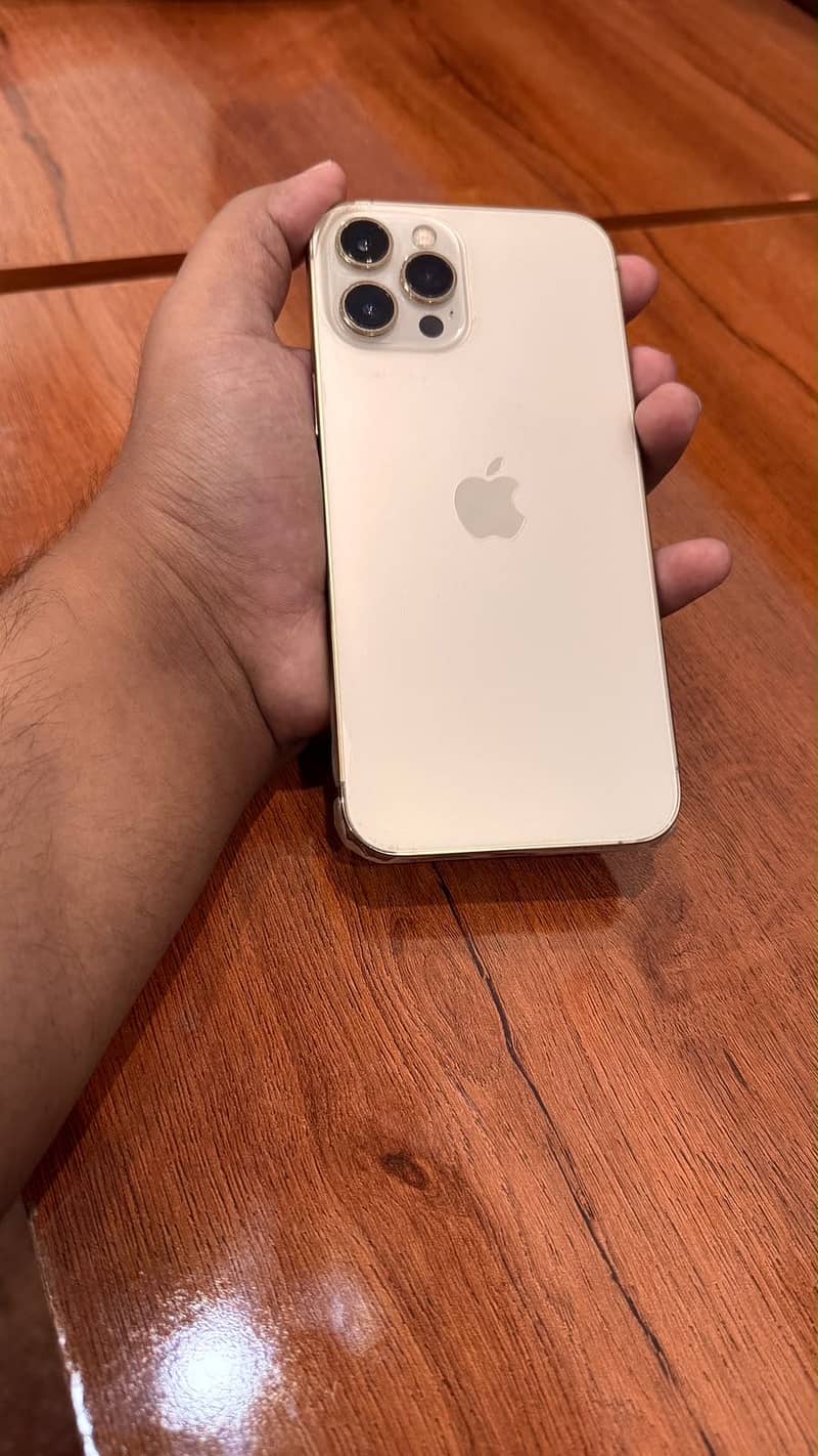 Apple iPhone 12 Pro Max 1