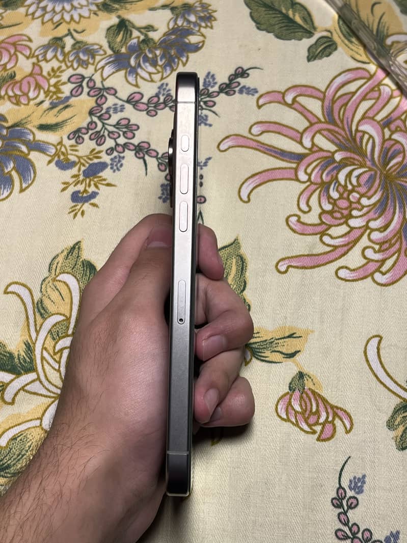 Apple iPhone 15 Pro Max 1