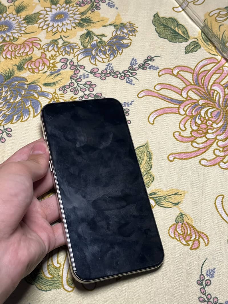 Apple iPhone 15 Pro Max 5
