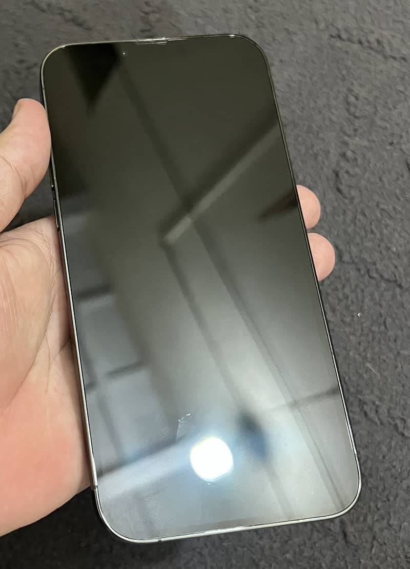 Apple iPhone 13 Pro Max 2