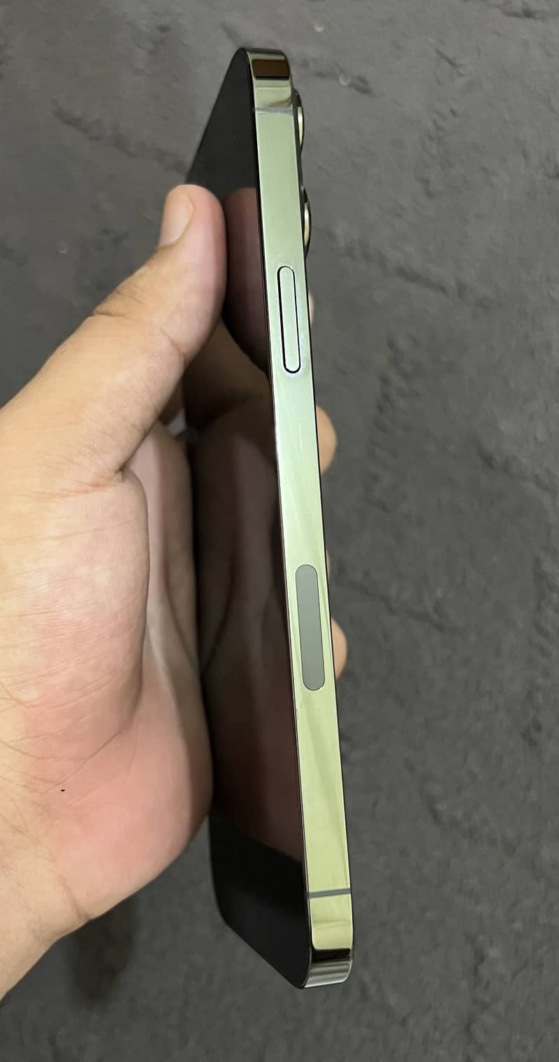 Apple iPhone 13 Pro Max 3