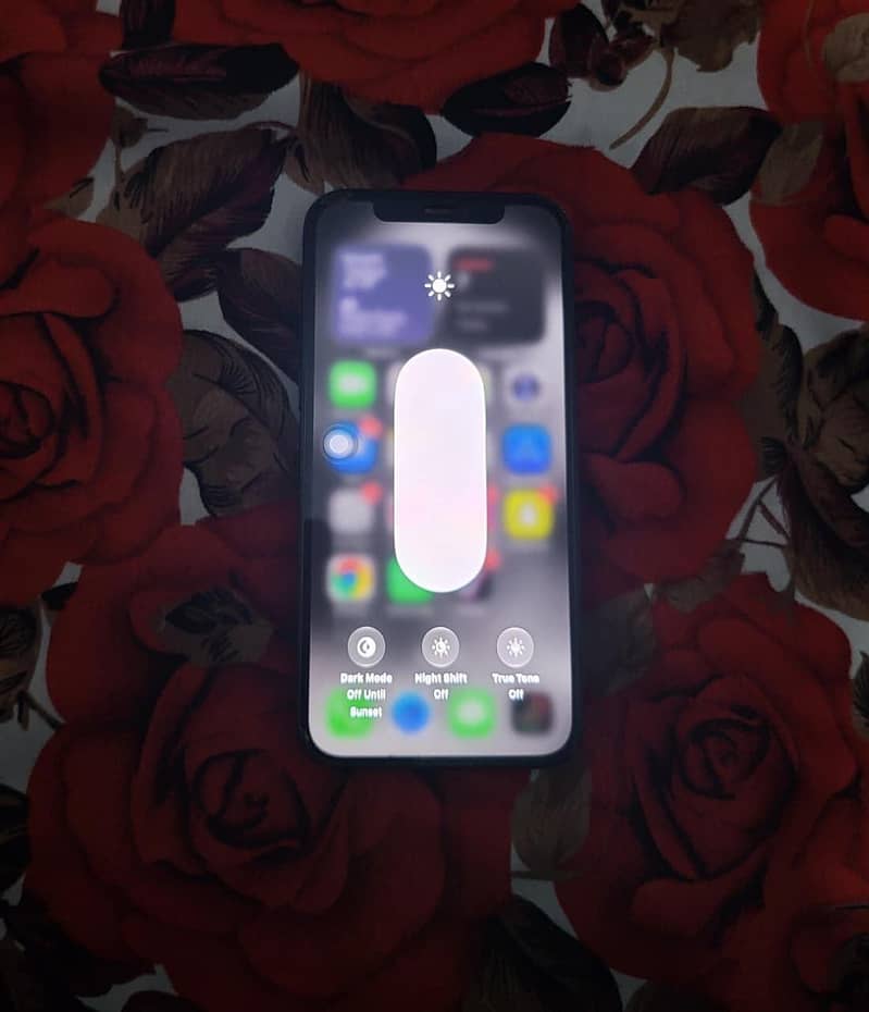 Apple iPhone 12 2