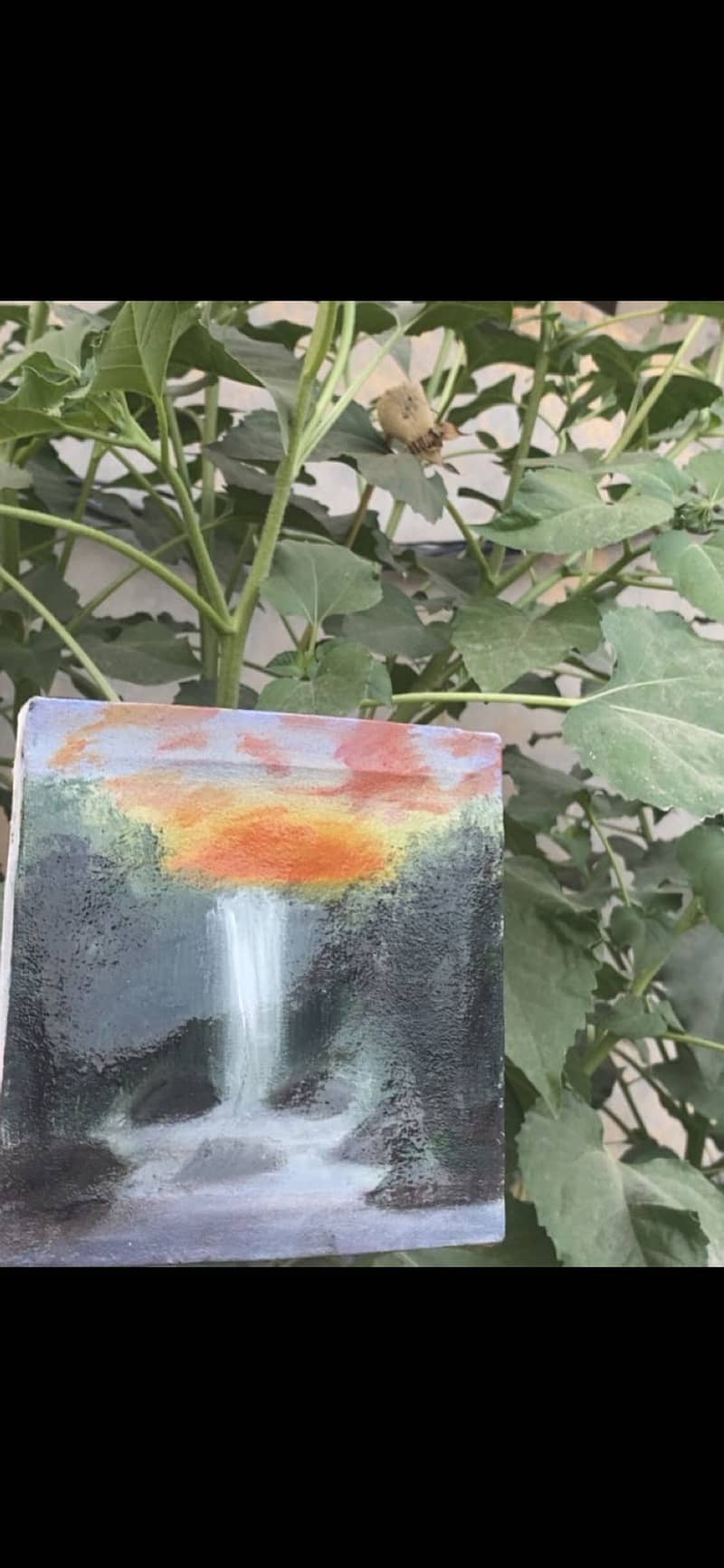 Waterfall with sunset 0