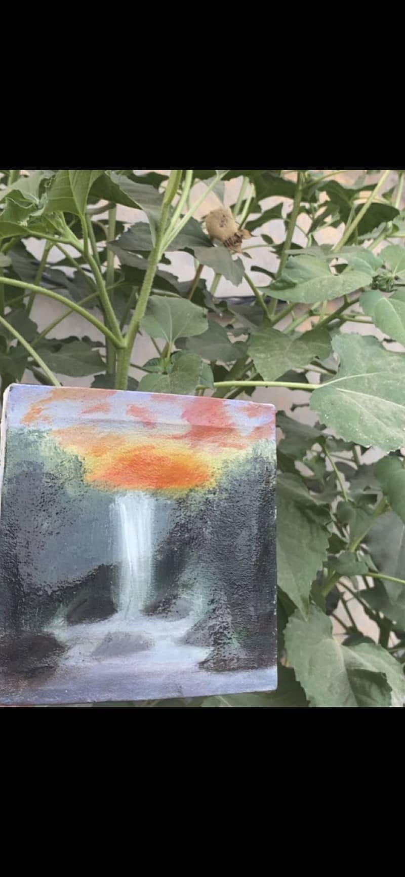 Waterfall with sunset 1
