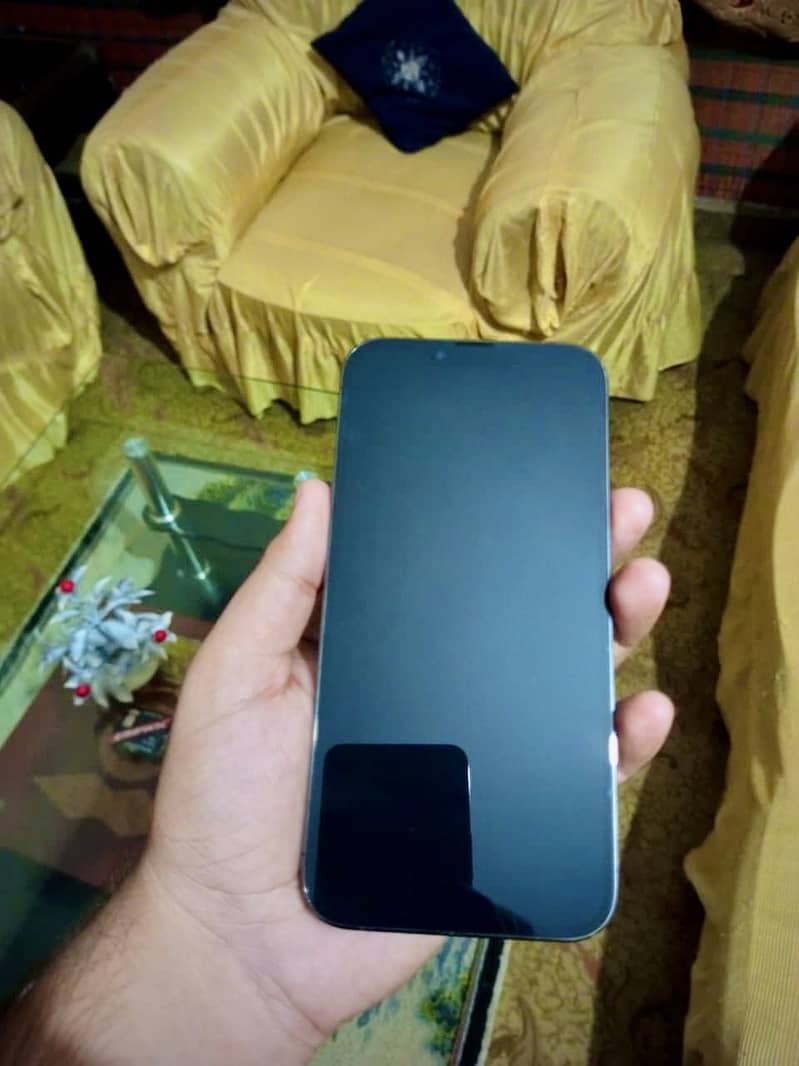 Apple iPhone 13 Pro Max 1