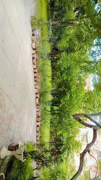 5 KANAL HOUSE FOR SALE IN CANTT