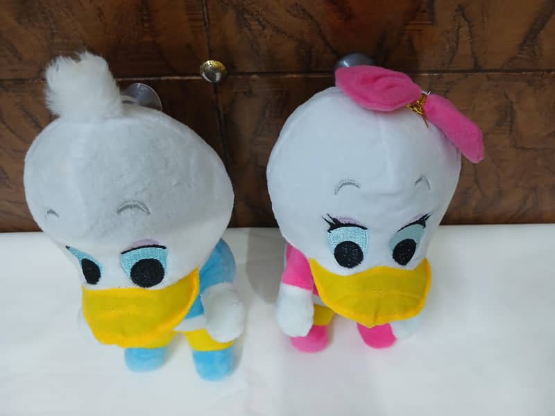 Different sizes and prices 5
