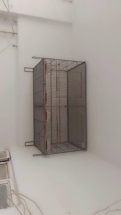 Birds Cages