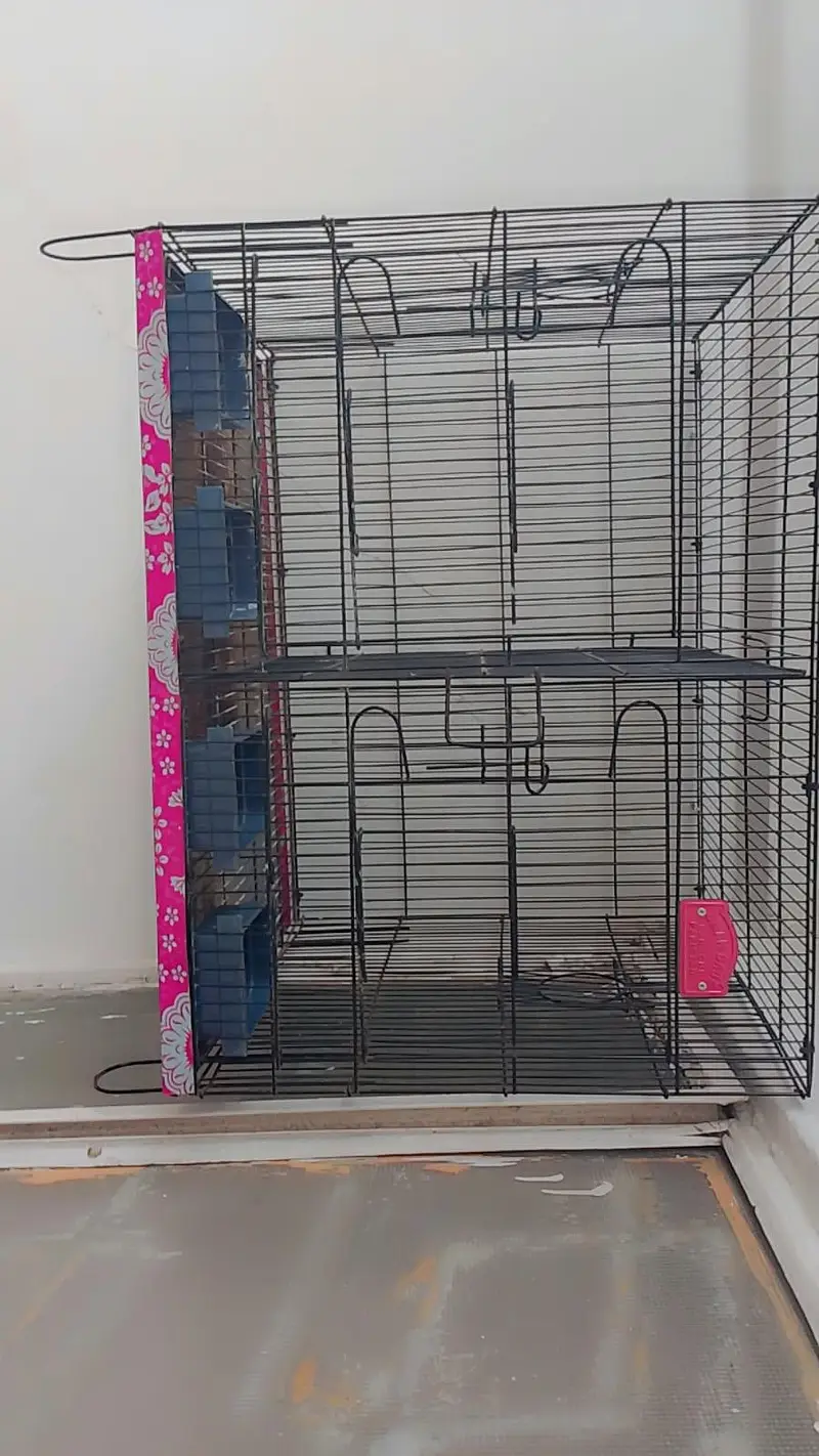 Birds Cages — photo 5