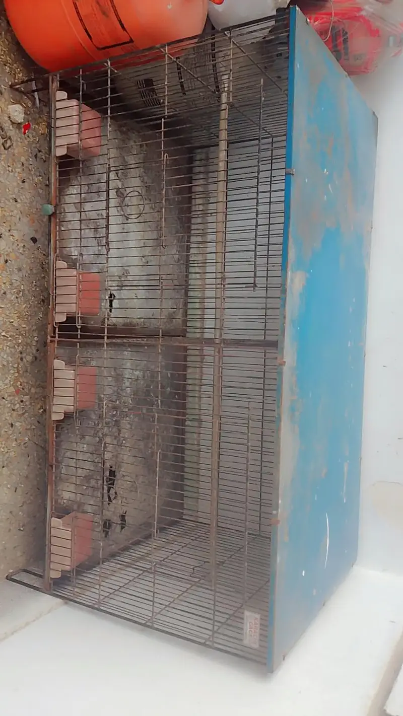 Birds Cages — photo 6