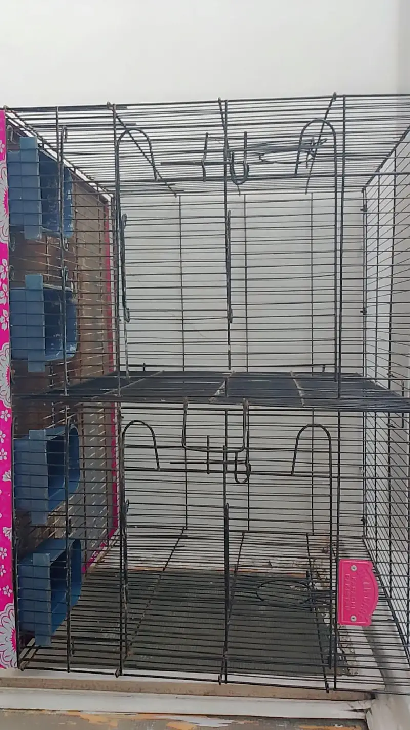 Birds Cages — photo 7