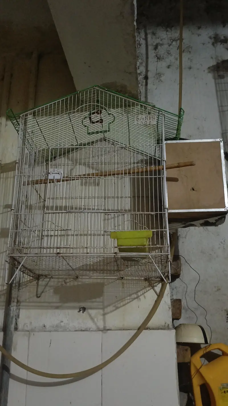 Cage and box for sale