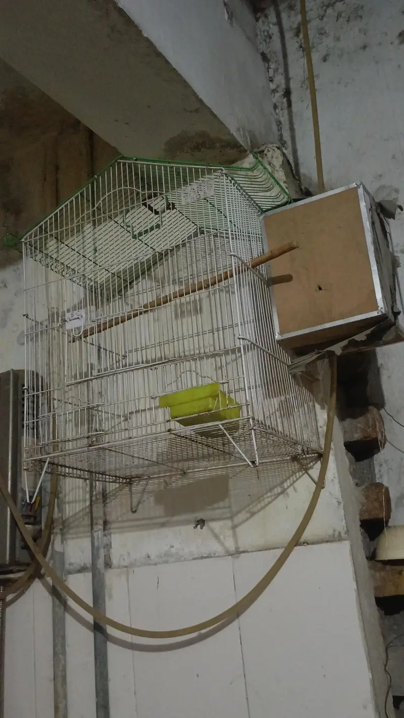 Cage and box for sale — photo 2