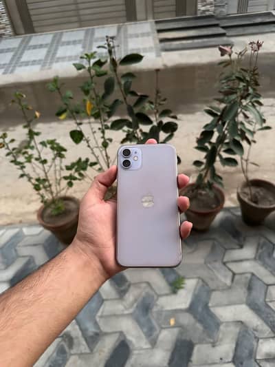 Apple iPhone 11