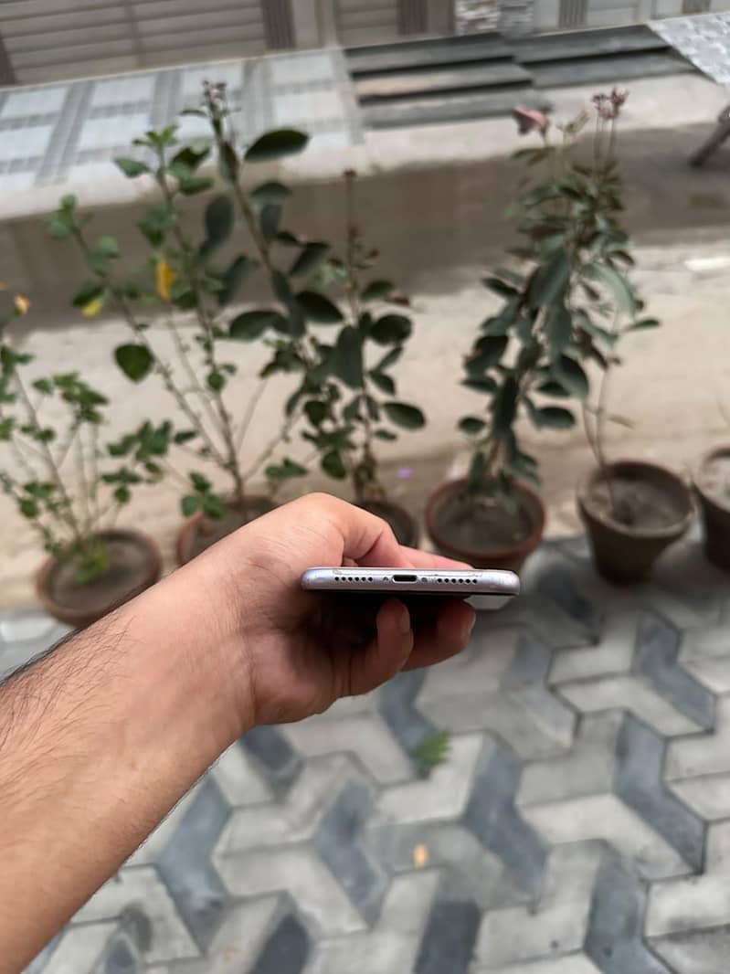 Apple iPhone 11 4