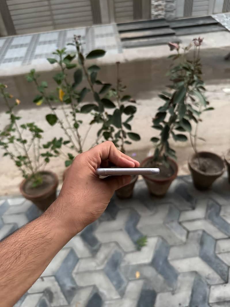 Apple iPhone 11 5