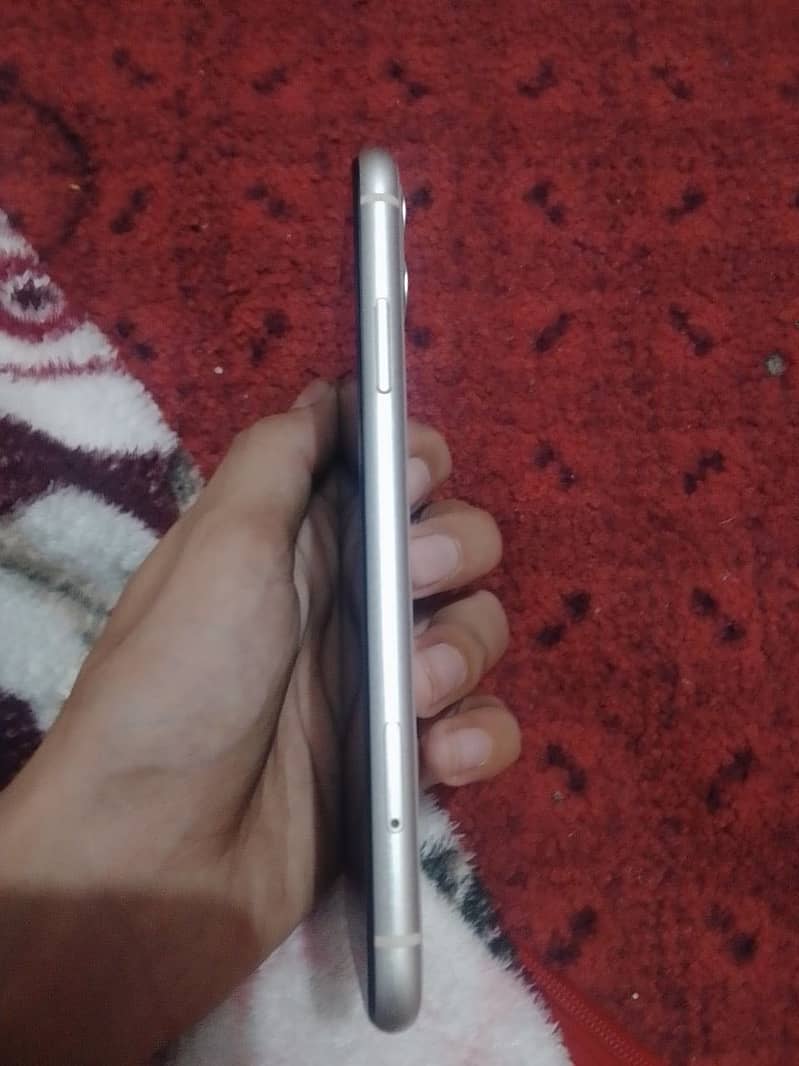 Apple iPhone 11 2