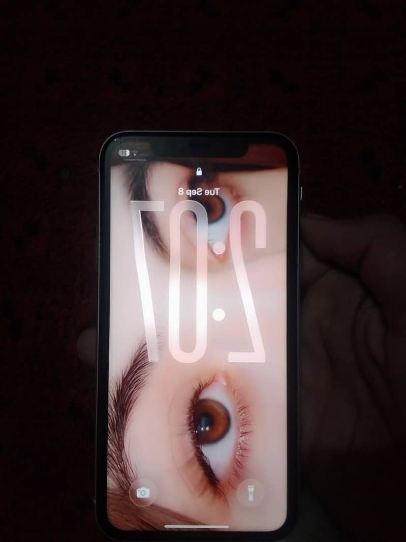 Apple iPhone 11 1