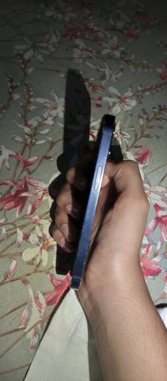 Apple iPhone 12 mini 1