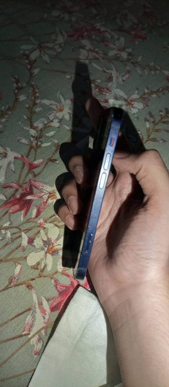 Apple iPhone 12 mini 5