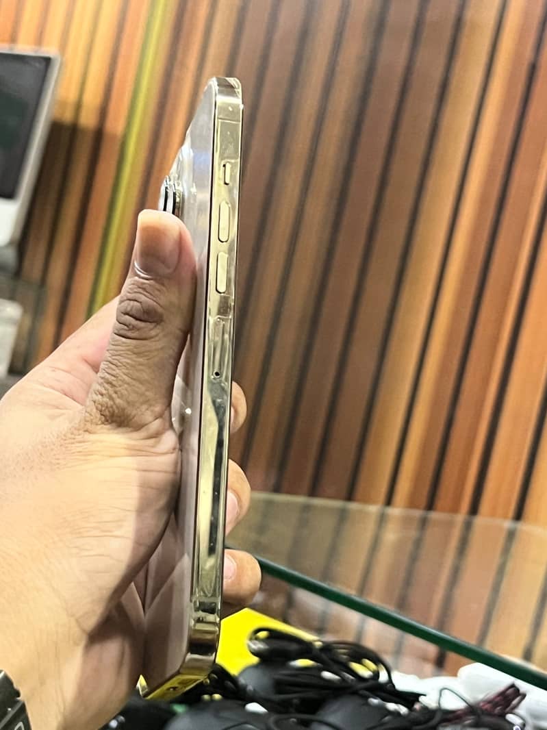 Apple iPhone 13 Pro Max 3
