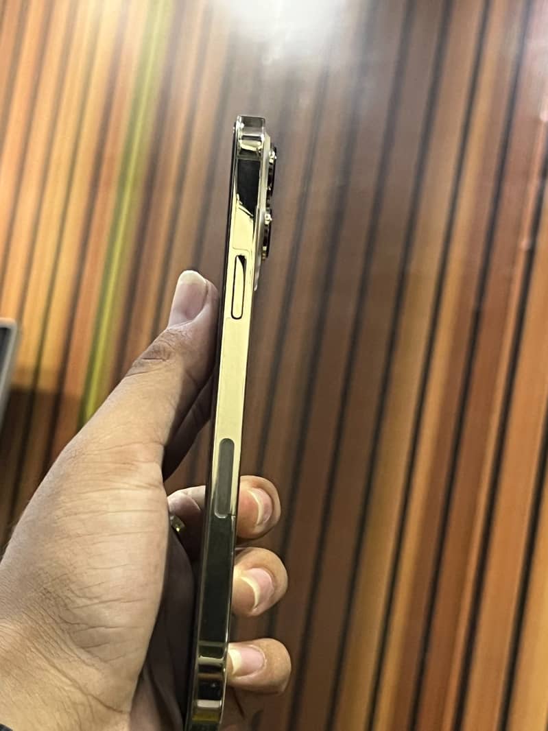 Apple iPhone 13 Pro Max 4