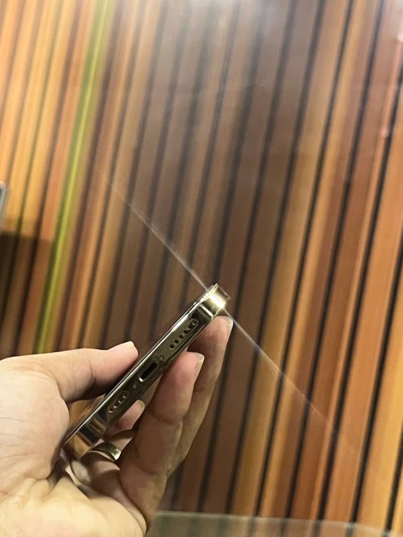 Apple iPhone 13 Pro Max 5